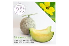 ＜令和7年度産先行受付＞星と蜂のメロン　Mサイズ2玉【1099063】