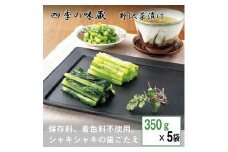 野沢菜浅漬　350g×5袋セット＜ 漬物 野沢菜漬け お土産 信州 長野 ＞【1101512】