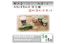 野沢菜(こんぶ・浅漬) とエリンギキムチ 計5種 詰合せセット＜ 漬物 お土産 信州 長野 ＞【1110403】