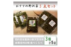 くるまやおすすめ野沢菜5点セット＜ 漬物 野沢菜漬け 惣菜 お土産 信州 長野 ＞【1112564】