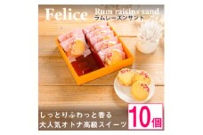 大人のラムレーズンサンド10個入り＜  高級 スイーツ 詰め合わせ 洋菓子 手土産 ギフト ＞【1116331】