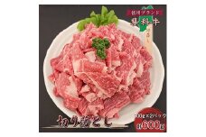 ＜牛肉切落し＞信州蓼科牛の厳選部位を600g(300g×2パック)御代田町古越牧場産【1296968】