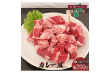 ＜牛肉カレー用＞信州蓼科牛の厳選部位をおまかせ600g(300g×2パック)御代田町古越牧場産【1297005】