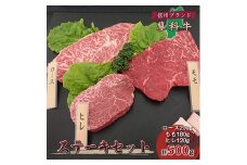 ＜牛肉ステーキ3種セット＞信州蓼科牛の厳選部位を500g(ロースももヒレ)御代田町古越牧場産【1297067】