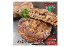 ＜牛肉生ハンバーグ＞信州蓼科牛の厳選部位を900g(150g×6枚)御代田町古越牧場産【1297075】