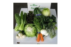 長野県御代田町産 旬の新鮮野菜セット【1082327】
