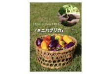 ＜令和7年度先行受付＞高糖度ミニパプリカ　約2kg【1474885】