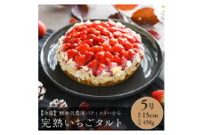 軽井沢農園パティスリーの完熟いちごタルト5号【1591170】