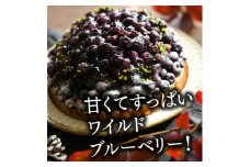 軽井沢農園パティスリーのブルーベリータルト【1591160】