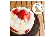 愛犬用 完熟いちごネイキッドケーキ Mサイズ 1個【1591177】