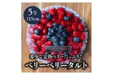 ＜冷凍＞軽井沢農園パティスリーからベリーベリータルト5号【1615744】