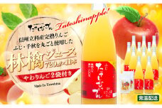 果肉入り林檎ジュース11本・おつまみセット