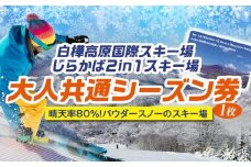 白樺高原国際スキー場・しらかば２in１スキー場大人共通シーズン券
