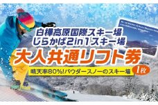 白樺高原国際スキー場・しらかば２in１スキー場大人共通リフト券