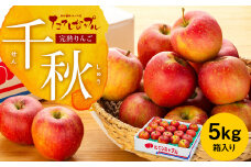 完熟りんご【千秋】約5kg