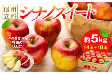 シナノスイート(約5㎏、優14～18玉)　