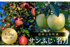 サンふじ・ぐんま名月ミックス（約5㎏、優13～18玉）