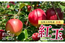 紅玉（約5kg、優20～23玉）