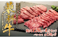 蓼科牛焼肉120g×4パック（バラ・モモ各2パック）