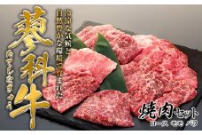 蓼科牛焼肉セット（ロース200g×2パック、モモ350g、バラ350g）