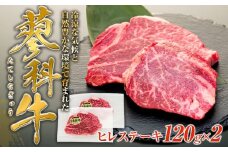 蓼科牛ヒレステーキ120g×2　　