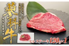 蓼科牛ヒレステーキ120g×1　　　