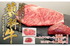 蓼科牛サーロインステーキ200g×1・ヒレステーキ120g×1　　