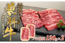 蓼科牛バラ焼肉120g×2　　