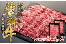 蓼科牛バラ焼肉350g×2　　