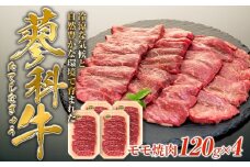 蓼科牛モモ焼肉120g×4　　　　
