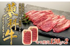 蓼科牛モモ焼肉120g×2　　　　　