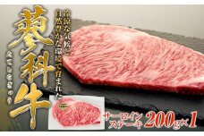蓼科牛サーロインステーキ200g×1　　