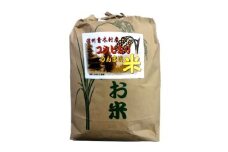 【令和７年産】青木村産お米コシヒカリ