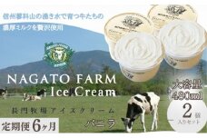 【定期便】6ヵ月連続でお届け！長門牧場アイスクリーム 480ml バニラ2個セット　アイス ギフト スイーツ デザート 人気 おすすめ 高評価 お土産 ご当地