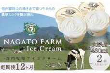 【定期便】12ヵ月連続でお届け！長門牧場アイスクリーム 480ml バニラ2個セット　ギフト スイーツ デザート 人気 おすすめ 高評価 お土産 ご当地