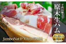 JamboNat P "Chiyo"2024(千代幻豚うで原木生ハム10-12ヶ月熟成）