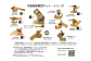 令和６年２月から新たな仲間が加わり１０種類となりました。