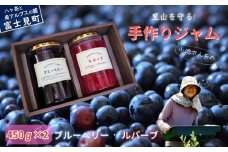チルチルのジャム 450g×2個セット（ブルーベリー・赤いルバーブ)）