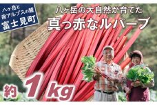 【25年発送先行予約】赤いルバーブ・フレッシュ 約1kg ※配送不可地域あり 野菜 ルバーブ 西洋野菜 食物繊維 カリウム カルシウム ビタミンC アントシアニン 美容 かぼちゃん農園 お届け：2025年6月頃～11月初旬