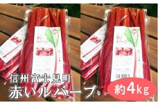 【2025年9月より順次発送】富士見町の赤いルバーブ約4kg（500g×8袋） 富士見町ルバーブ生産組合