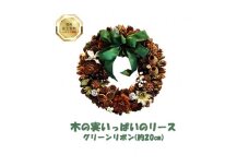 木の実いっぱいのリース （約20cm） グリーンリボン
