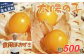 【2024年先行受付】【農薬不使用】 食用ほおずき 「太陽の子」 500g バディアス農園