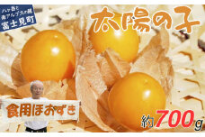 農薬不使用 フルーツほおずき 太陽の子 700g 贈答用 ビタミンA 鉄分 イノシトール 食用ほおずき バディアス農園 