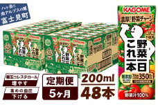 【定期便 5ヶ月】 カゴメ 野菜一日これ一本 48本×5回 【 野菜ジュース 紙パック 定期便 1日分の野菜 野菜100％ 飲料類 ドリンク 備蓄 長期保存 防災 無添加 砂糖不使用 甘味料不使用 食塩不使用 栄養強化剤不使用 かごめ kagome KAGOME 長野県 富士見町 】
