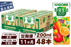 【定期便 11ヶ月】 カゴメ 野菜生活100 オリジナル 200ml 48本×11回 【 野菜ジュース 紙パック 定期便 1食分の野菜 砂糖不使用 オレンジ にんじん ニンジン 野菜生活 野菜生活オリジナル ジュース 飲料類 ドリンク 野菜ドリンク 備蓄 長期保存 防災 飲みもの かごめ kagome KAGOME 長野県 富士見町 】