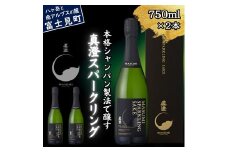 真澄 スパークリング 750ml 2本 箱入 純米酒 泡酒 発泡 日本酒 地酒 酒 食中酒 女性 おすすめ 宮坂醸造 老舗 諏訪五蔵 富士見蔵 パーティー 女子会 プレゼント ギフト 贈り物 贈答 家飲み 宅飲み 晩酌 お歳暮 父の日 母の日 信州 長野県 富士見町