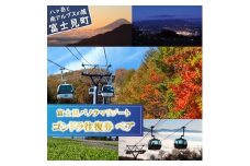 富士見パノラマリゾート ゴンドラ往復券 ペアチケット 日本百名山 八ヶ岳・南アルプス一望 景観絶景 クーポン券 サービス券 ゴンドラ チケット 信州 着日指定不可 長野県富士見町