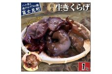 【2026年先行予約】 肉厚 ぷりぷりコリコリ 生きくらげ 1kg 八ヶ岳山麓育ち 国産 安心安全 農薬不使用 ハウス栽培 食物繊維 信州 送料無料 [7月中旬発送開始]
