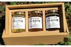 はちみつ 160g×3本セット