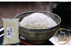【3ヶ月連続お届け】八ヶ岳で育った精米 ゆめしなの5kg